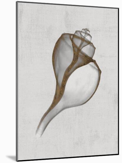 Channelled Whelk-Bert Myers-Mounted Art Print