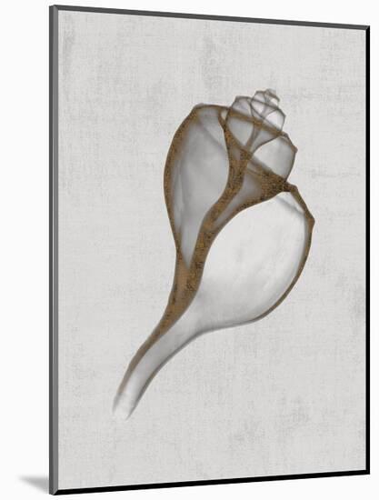 Channelled Whelk-Bert Myers-Mounted Art Print