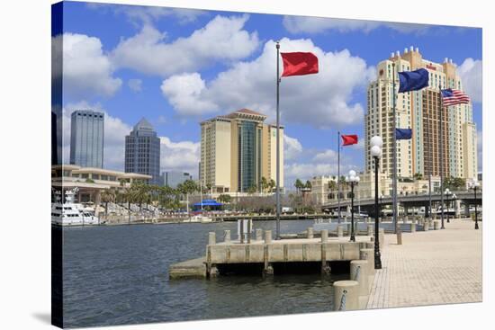 Channelside Hotels, Tampa, Florida, United States of America, North America-Richard Cummins-Stretched Canvas