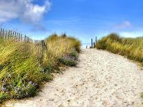 Path in the Dunes Going to the Seaside-Chantal de Bruijne-Mounted Photographic Print