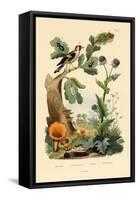 Chanterelle, 1833-39-null-Framed Stretched Canvas