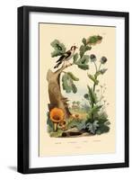 Chanterelle, 1833-39-null-Framed Giclee Print