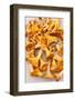 Chanterelle Mushrooms-maksheb-Framed Photographic Print