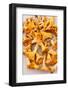 Chanterelle Mushrooms-maksheb-Framed Photographic Print