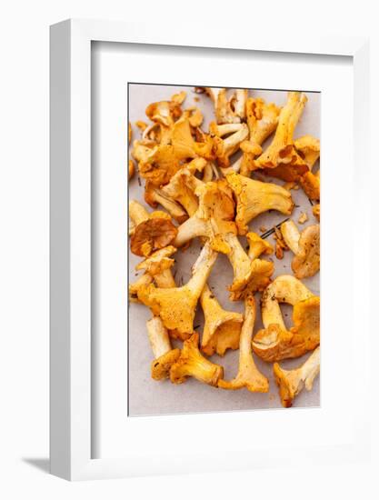 Chanterelle Mushrooms-maksheb-Framed Photographic Print