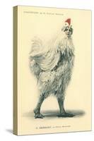 Chanticleer, Man in Chicken Suit-null-Stretched Canvas