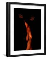 Chaos Theory and Lorenz Butterflies-Katherine Sanderson-Framed Photographic Print