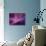 Chaos Waves, Artwork-Laguna Design-Photographic Print displayed on a wall