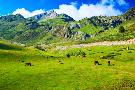 Laminate