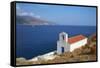 Chapel, Hora, Andros Island, Cyclades, Greek Islands, Greece, Europe-Tuul-Framed Stretched Canvas