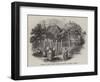 Chapel of the Baptist Missionary Society, Kingston, Jamaica-null-Framed Giclee Print