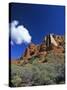 Chapel of the Holy Cross in Sedona, Arizona, USA-Chuck Haney-Stretched Canvas