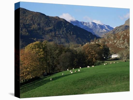 Chapel Stile, Great Langdale, Lake District National Park, Cumbria, England, United Kingdom-Roy Rainford-Stretched Canvas