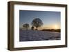 Chapel with Tree-Jurgen Ulmer-Framed Photographic Print