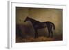 Chaplet, a Bay Race Mare in a Loosebox, C.1877 (Oil on Canvas)-Harry Hall-Framed Giclee Print