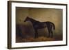 Chaplet, a Bay Race Mare in a Loosebox, C.1877 (Oil on Canvas)-Harry Hall-Framed Giclee Print