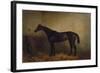 Chaplet, a Bay Race Mare in a Loosebox, C.1877 (Oil on Canvas)-Harry Hall-Framed Giclee Print