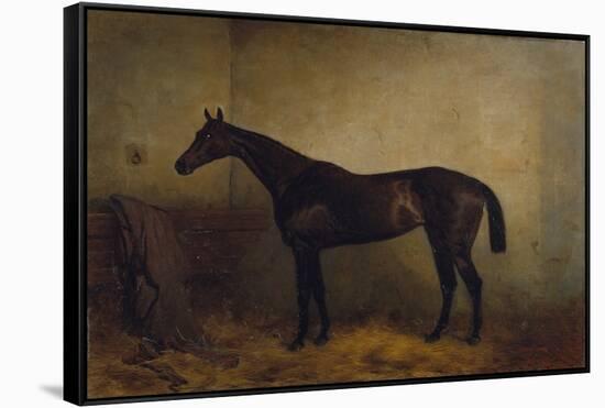Chaplet, a Bay Race Mare in a Loosebox, C.1877 (Oil on Canvas)-Harry Hall-Framed Stretched Canvas