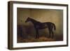 Chaplet, a Bay Race Mare in a Loosebox, C.1877 (Oil on Canvas)-Harry Hall-Framed Giclee Print