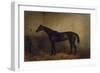 Chaplet, a Bay Race Mare in a Loosebox, C.1877 (Oil on Canvas)-Harry Hall-Framed Giclee Print