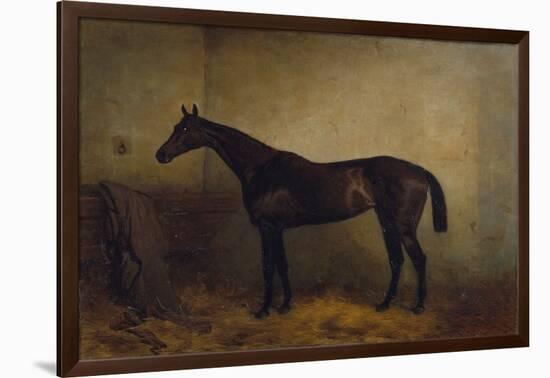 Chaplet, a Bay Race Mare in a Loosebox, C.1877 (Oil on Canvas)-Harry Hall-Framed Giclee Print