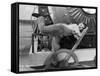 Chaplin: Modern Times, 1936-null-Framed Stretched Canvas