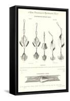 Chapman's Spoon Lures-null-Framed Stretched Canvas