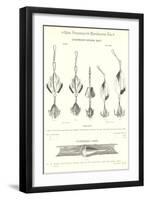 Chapman's Spoon Lures-null-Framed Art Print