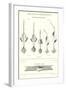 Chapman's Spoon Lures-null-Framed Art Print