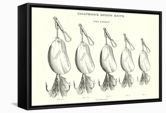Chapman's Spoon Lures-null-Framed Stretched Canvas