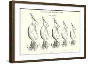 Chapman's Spoon Lures-null-Framed Art Print