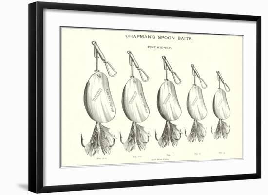 Chapman's Spoon Lures-null-Framed Art Print