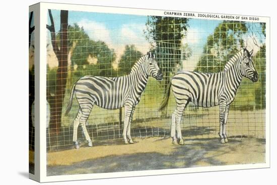 Chapman Zebras, San Diego Zoo-null-Stretched Canvas