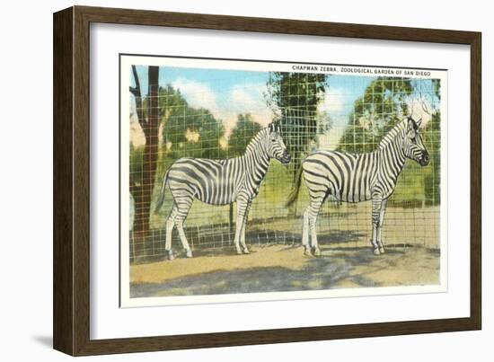 Chapman Zebras, San Diego Zoo-null-Framed Art Print