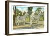 Chapman Zebras, San Diego Zoo-null-Framed Art Print