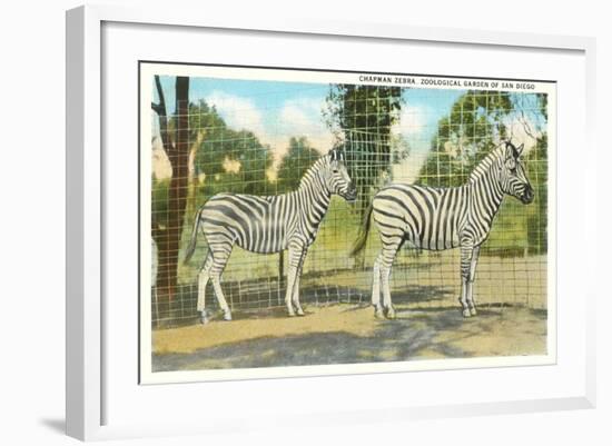 Chapman Zebras, San Diego Zoo-null-Framed Art Print