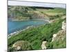 Chapmans Pool, Isle of Purbeck, Dorset, England, United Kingdom-Rob Cousins-Mounted Photographic Print