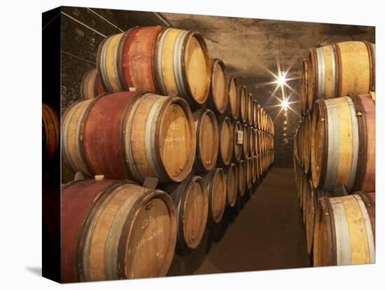 Chapoutier Winery's Barrel Aging Cellar with Oak Casks, Domaine M Chapoutier, Tain L'Hermitage-Per Karlsson-Stretched Canvas