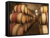 Chapoutier Winery's Barrel Aging Cellar with Oak Casks, Domaine M Chapoutier, Tain L'Hermitage-Per Karlsson-Framed Stretched Canvas
