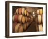 Chapoutier Winery's Barrel Aging Cellar with Oak Casks, Domaine M Chapoutier, Tain L'Hermitage-Per Karlsson-Framed Premium Photographic Print