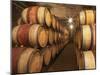 Chapoutier Winery's Barrel Aging Cellar with Oak Casks, Domaine M Chapoutier, Tain L'Hermitage-Per Karlsson-Mounted Premium Photographic Print