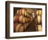 Chapoutier Winery's Barrel Aging Cellar with Oak Casks, Domaine M Chapoutier, Tain L'Hermitage-Per Karlsson-Framed Photographic Print