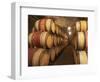 Chapoutier Winery's Barrel Aging Cellar with Oak Casks, Domaine M Chapoutier, Tain L'Hermitage-Per Karlsson-Framed Photographic Print