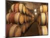 Chapoutier Winery's Barrel Aging Cellar with Oak Casks, Domaine M Chapoutier, Tain L'Hermitage-Per Karlsson-Mounted Photographic Print