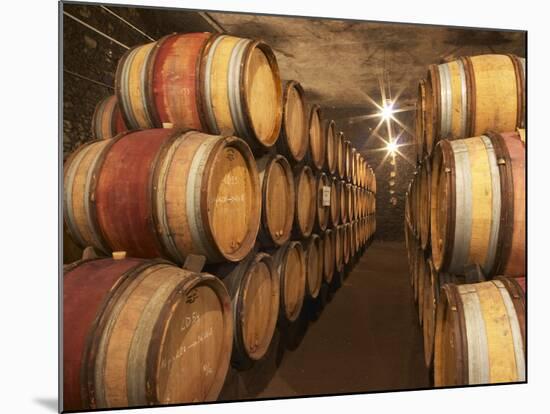 Chapoutier Winery's Barrel Aging Cellar with Oak Casks, Domaine M Chapoutier, Tain L'Hermitage-Per Karlsson-Mounted Photographic Print