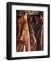 Chaps #2-Barry Hart-Framed Art Print