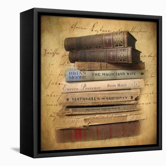 Chapter and Verse-Jessica Jenney-Framed Stretched Canvas
