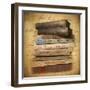 Chapter and Verse-Jessica Jenney-Framed Giclee Print