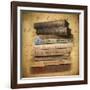 Chapter and Verse-Jessica Jenney-Framed Giclee Print