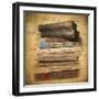 Chapter and Verse-Jessica Jenney-Framed Premium Giclee Print